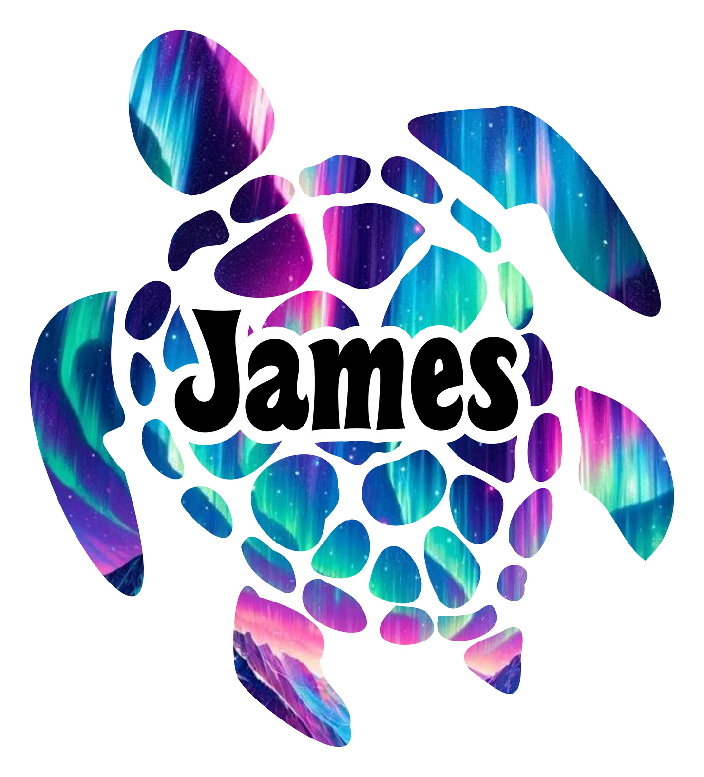 Colorful Personalized Turtle Cruise Door Magnet